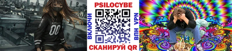 Купить где  Купино  Псилоцибиновые грибы GOLDEN TEACHER 